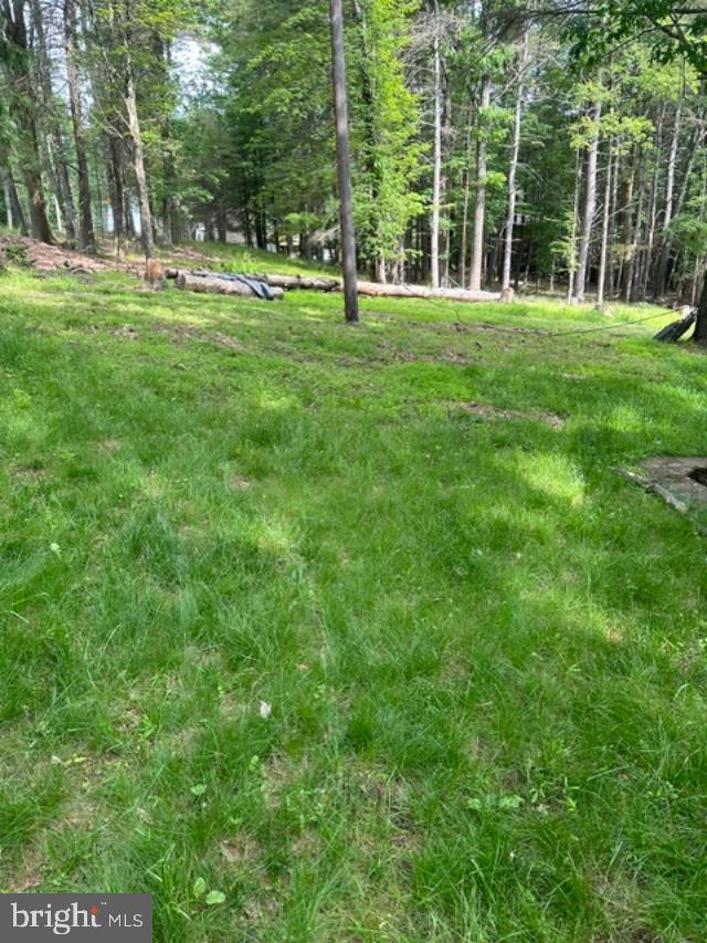 204 Shiny Mountain Road Property Photo 19