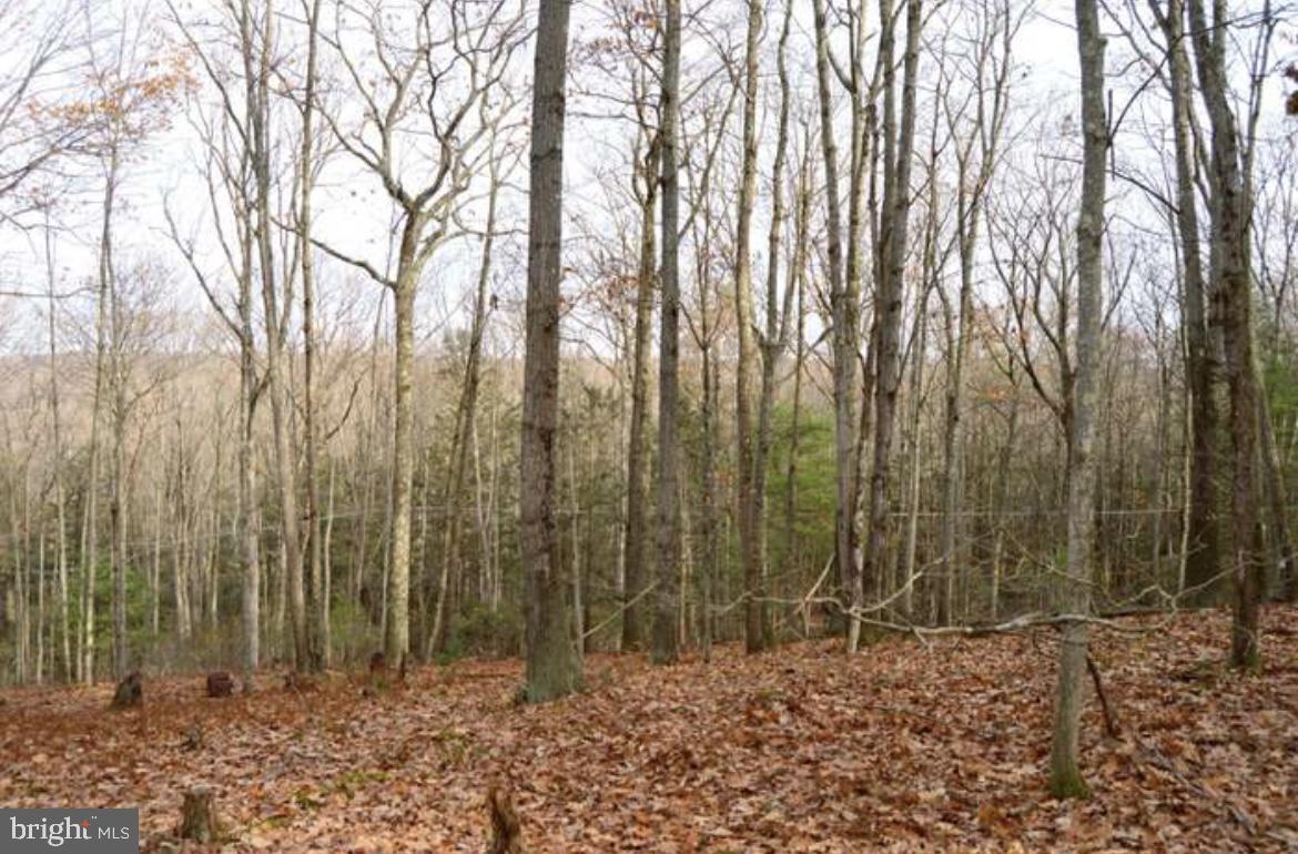 204 Shiny Mountain Road Property Photo 23