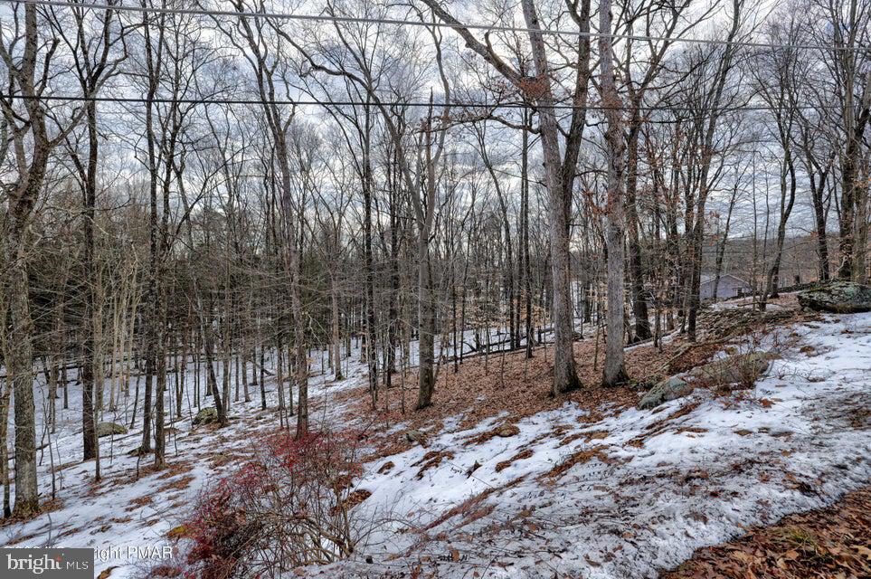 Lot 679 Raccoon Ct Property Photo