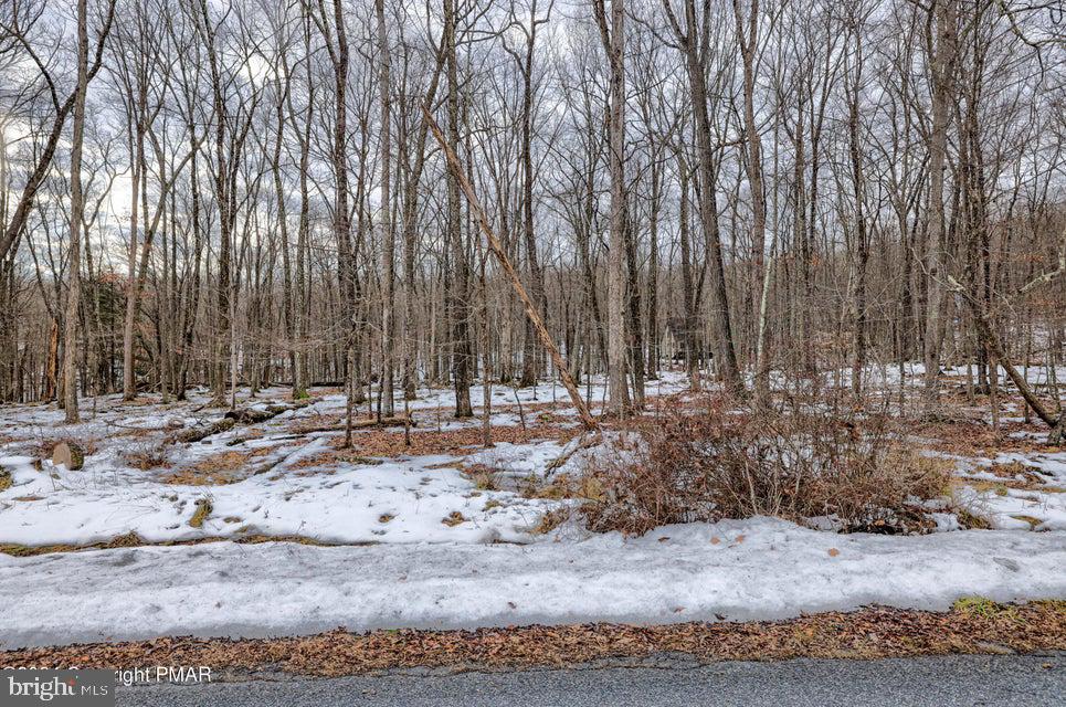 Lot 17 Pocono Mountain Lake Dr Property Photo