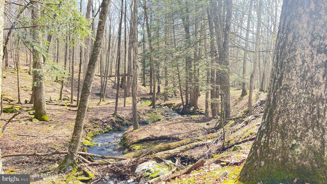 Lot 155 Tinkwig Dr Property Photo