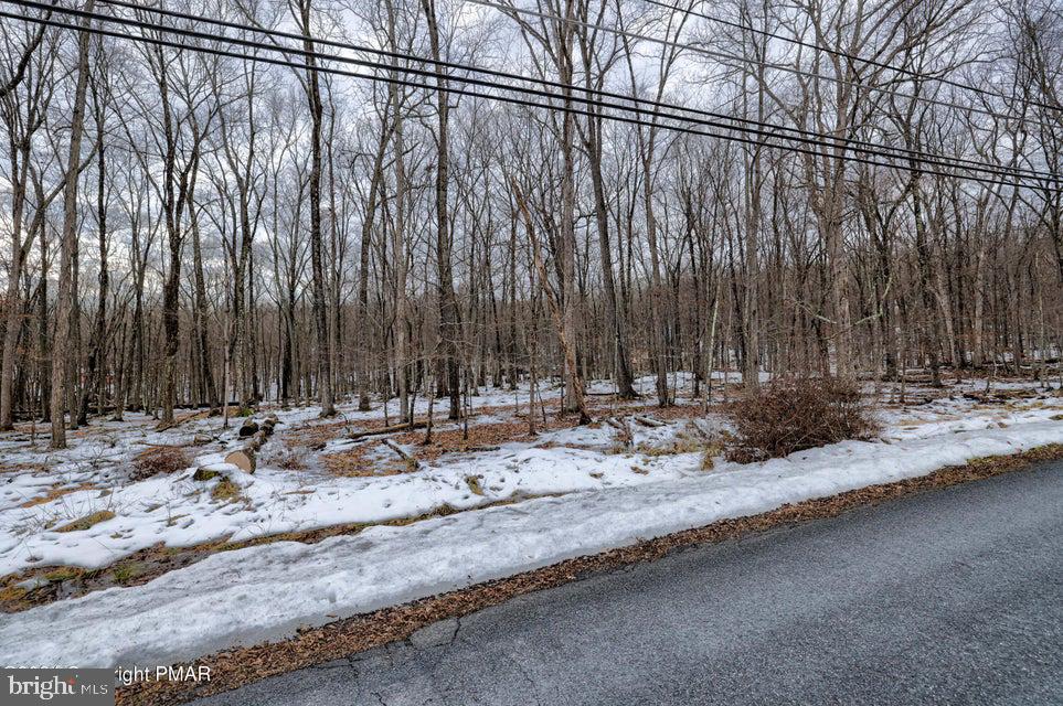 Lots 14 & 15 Pocono Mountain Lake Dr Property Photo
