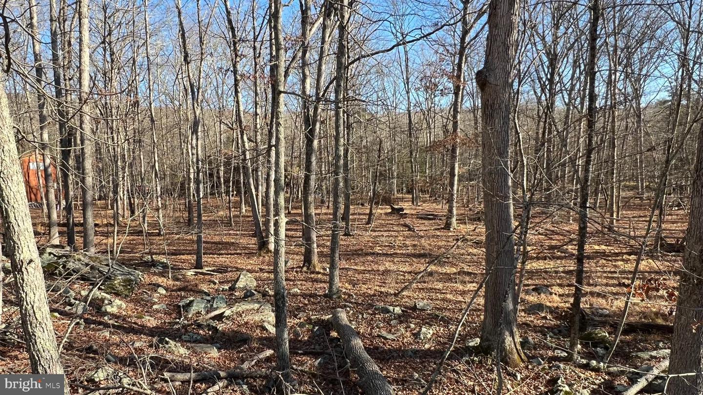 Lot 282 Saunders Ct Property Photo