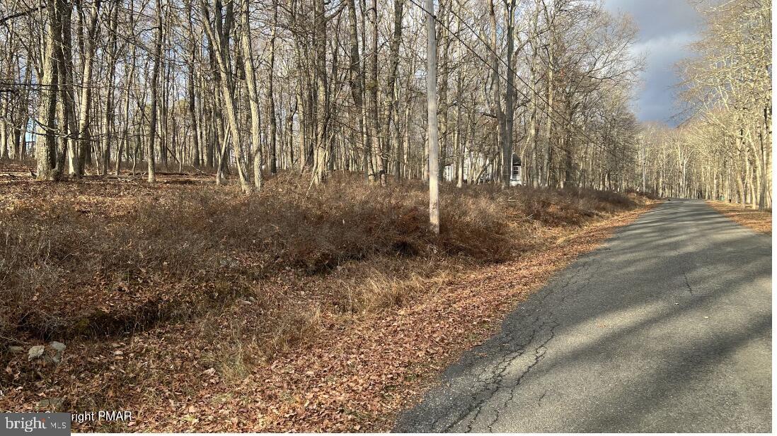 Lot 288 Doe Loop Property Photo