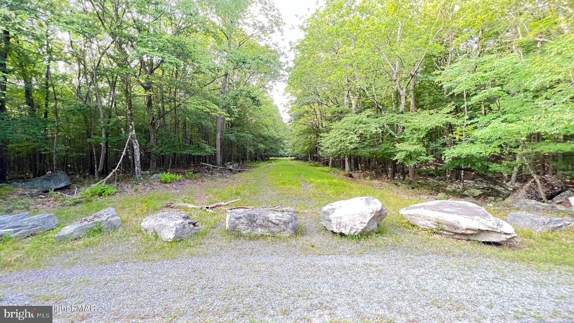 Lots 220-223 Snow Bird Ln Property Photo 1