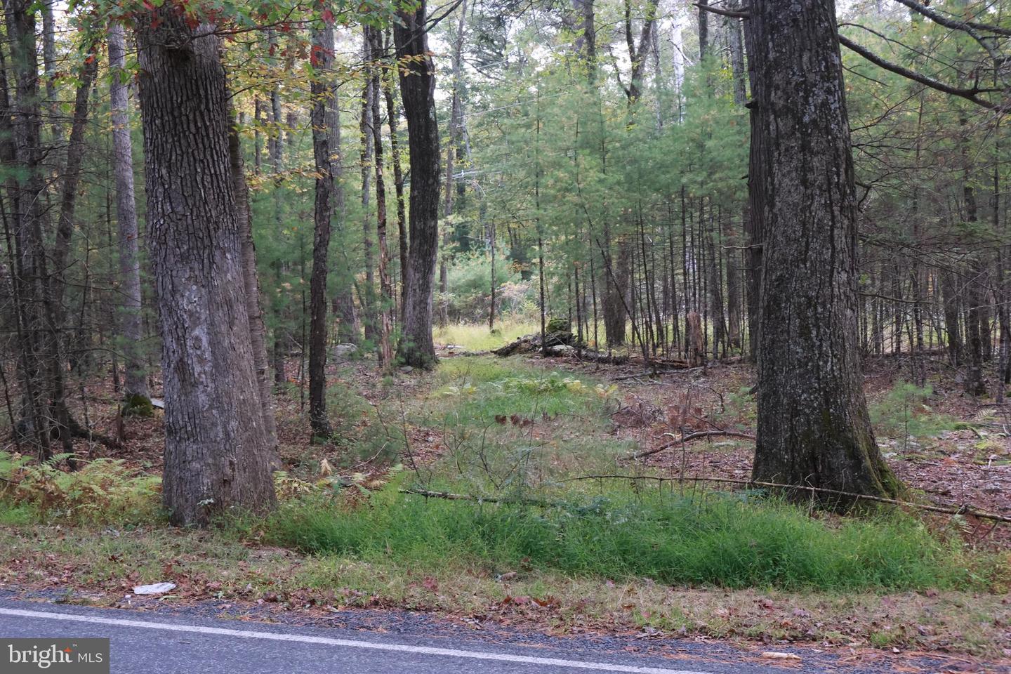 00 Park Rd Property Photo 8