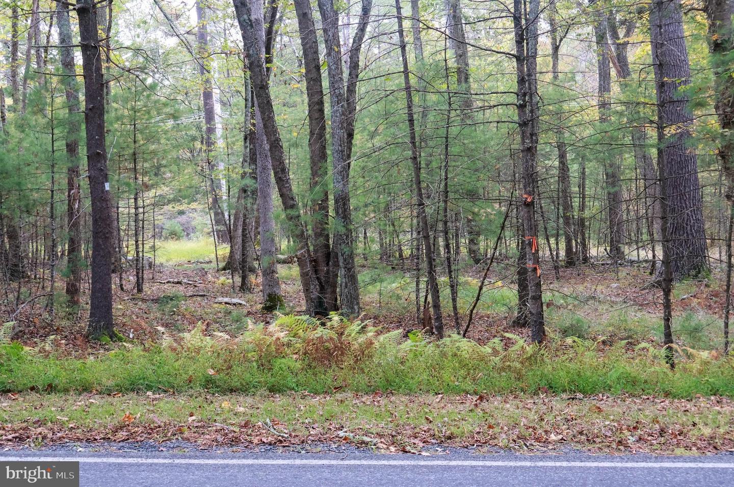 00 Park Rd Property Photo 9