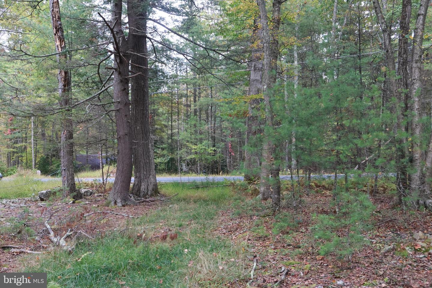 00 Park Rd Property Photo 12