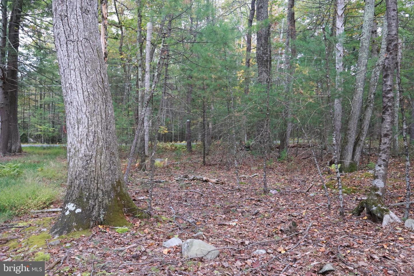 00 Park Rd Property Photo 13