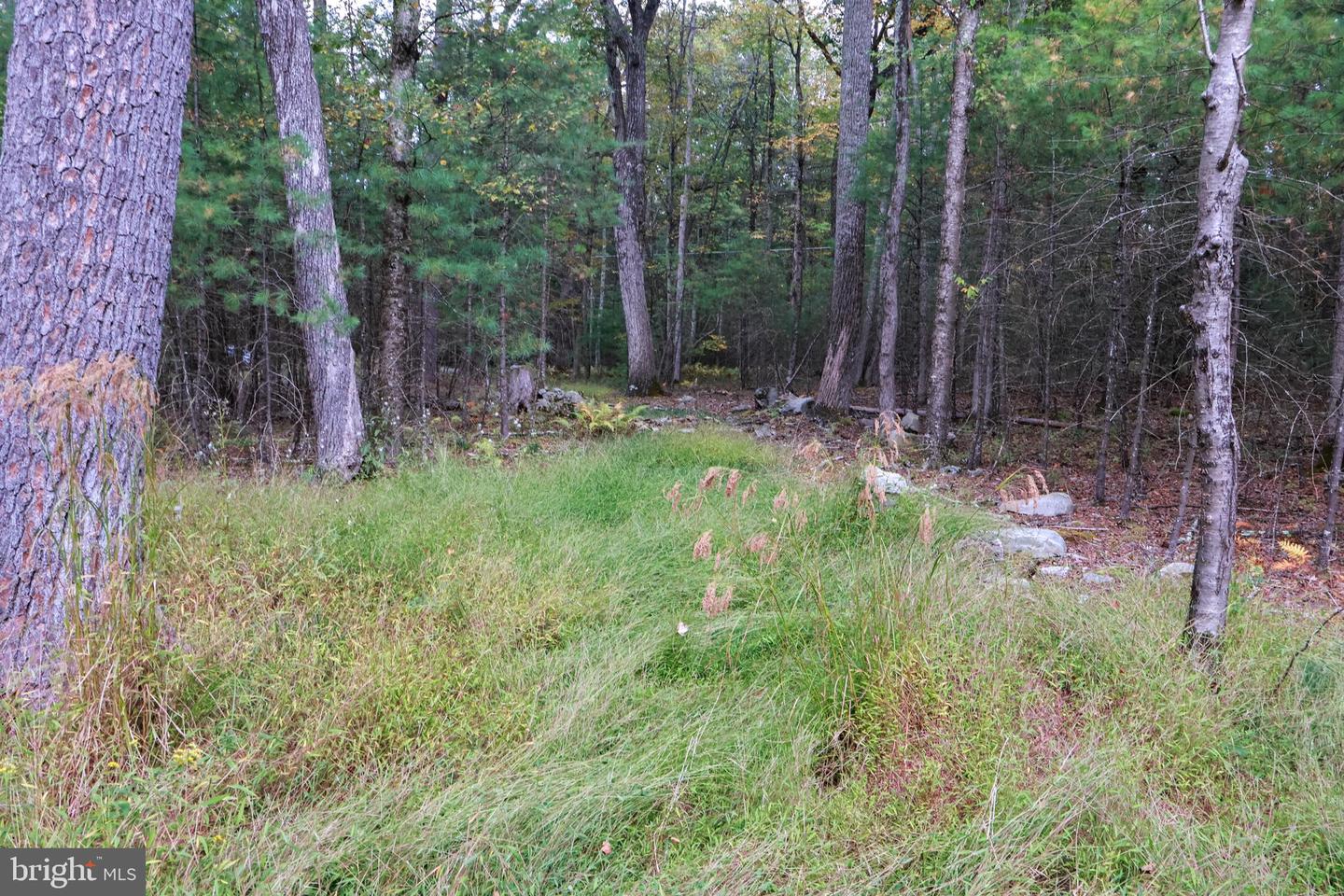 00 Park Rd Property Photo 18