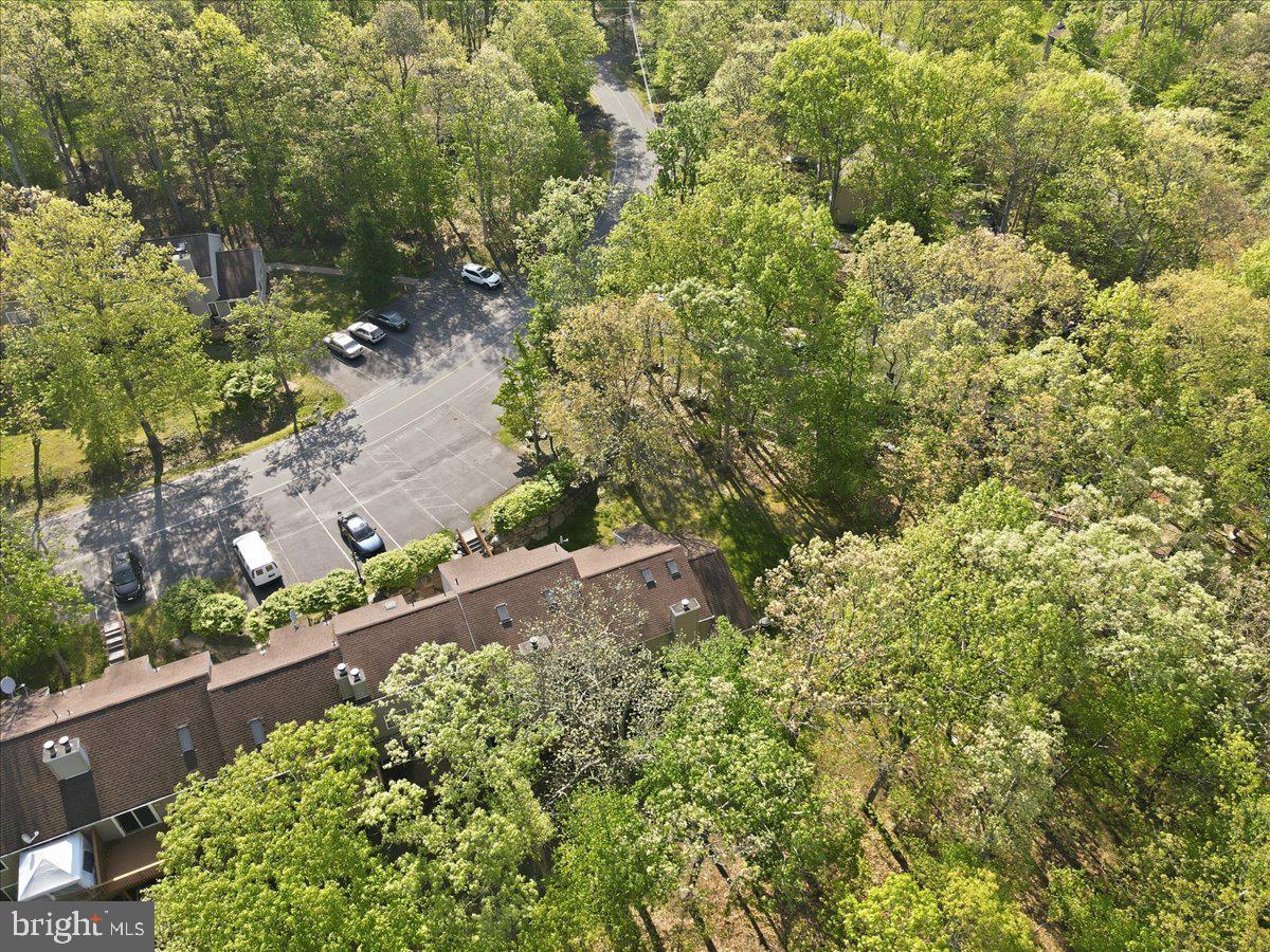 3301 Windermere Drive Property Photo 58