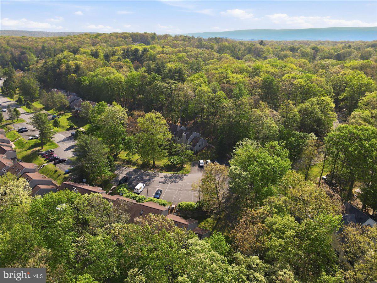 3301 Windermere Drive Property Photo 60