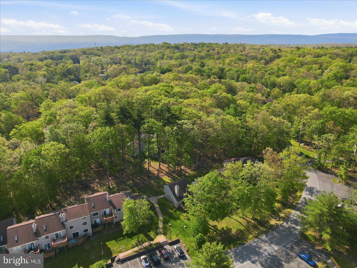 3322 Windermere Drive Property Photo 54