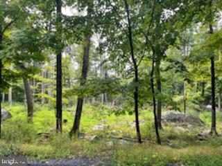 115 Falcon Crst Property Photo 1