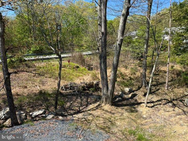 224 Kensington Dr Property Photo 8