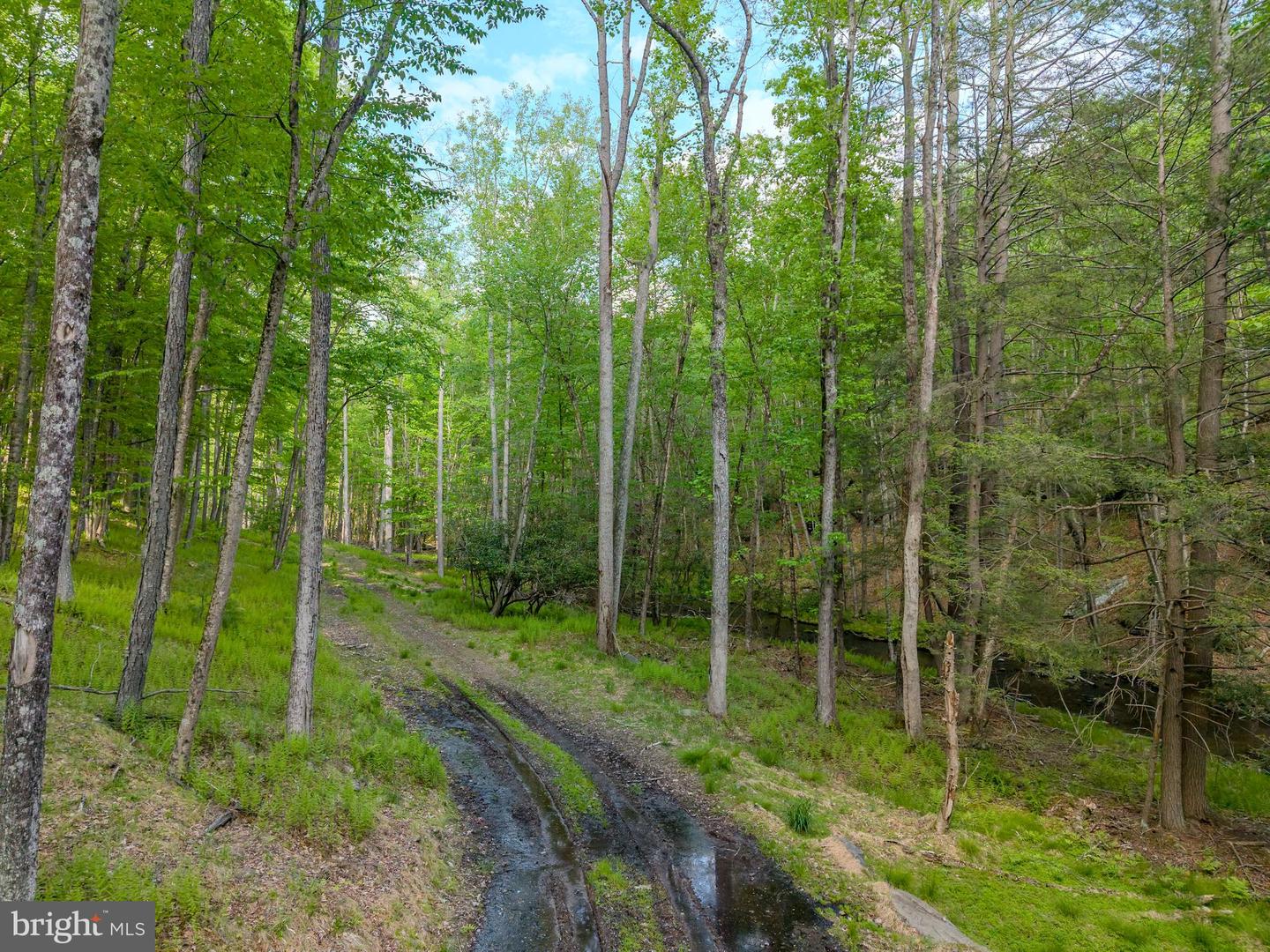 00 Cummins Hill Rd Property Photo 16