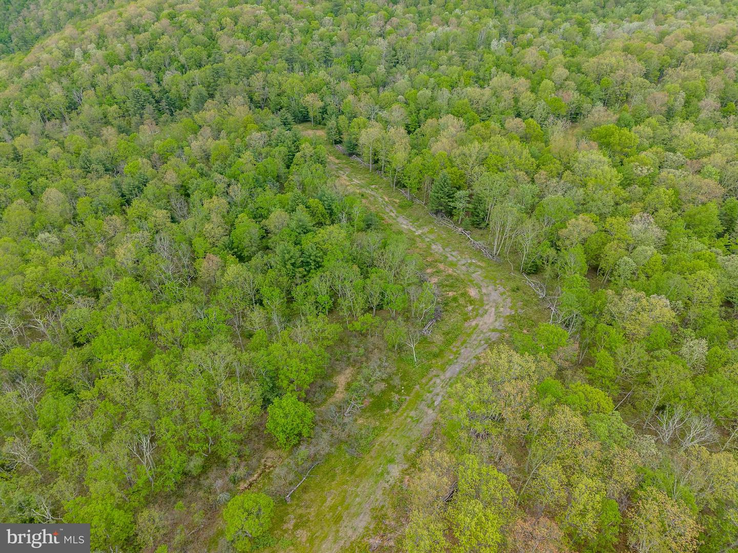 00 Cummins Hill Rd Property Photo 33