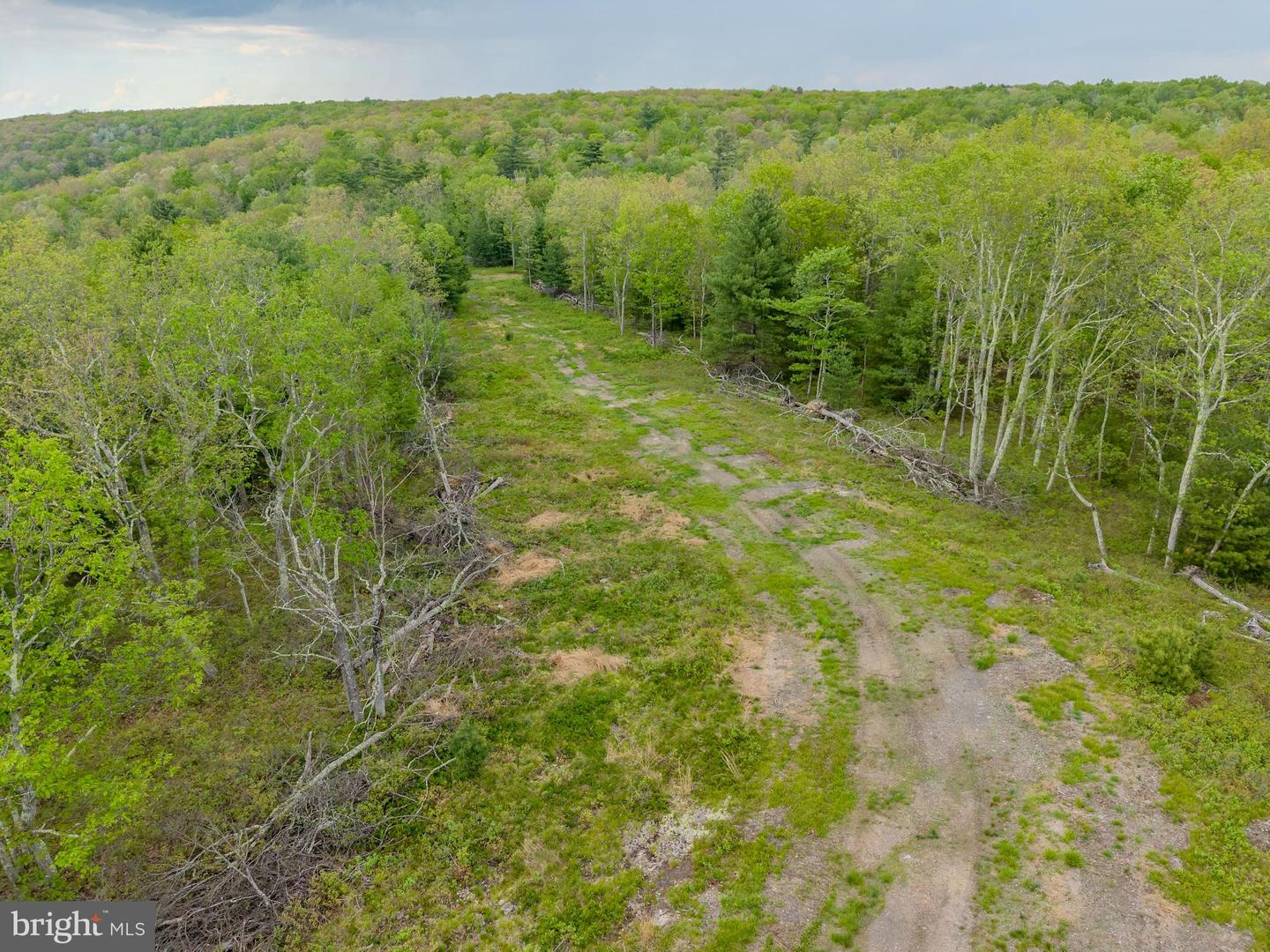 00 Cummins Hill Rd Property Photo 34