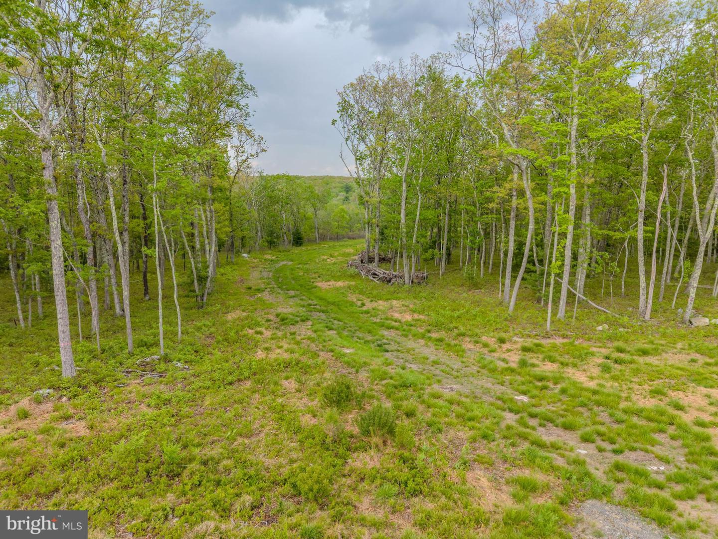 00 Cummins Hill Rd Property Photo 36