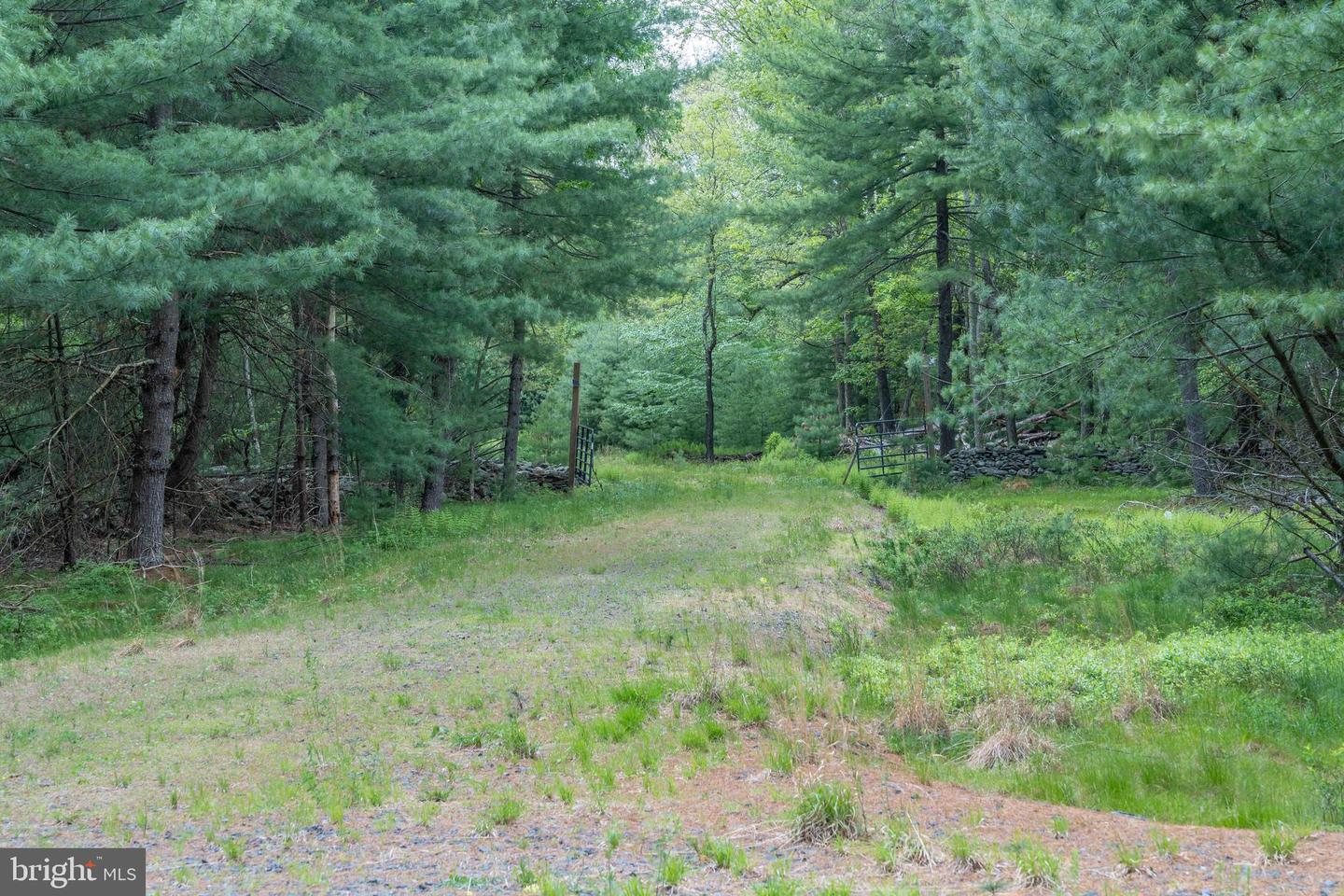 00 Cummins Hill Rd Property Photo 46