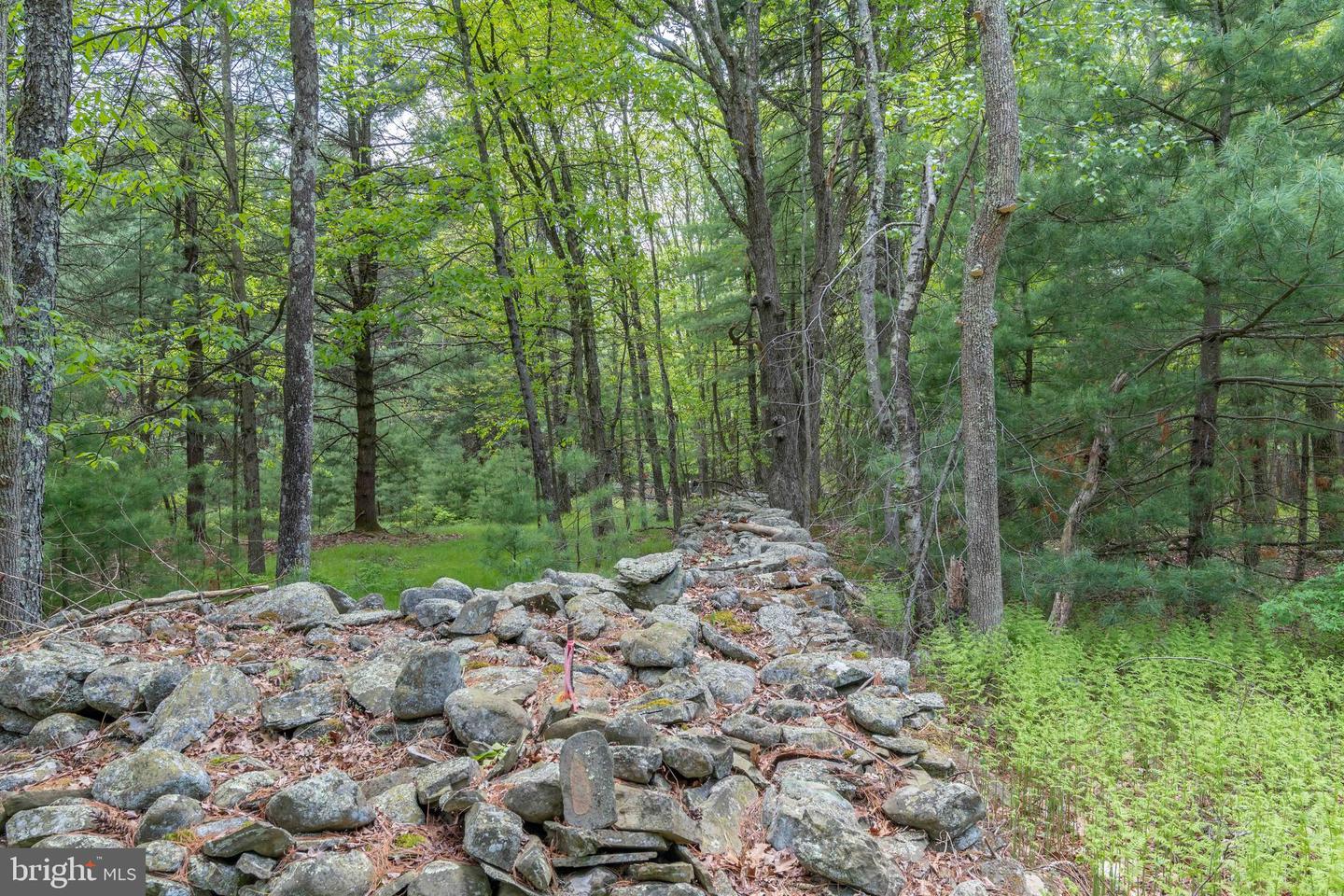 00 Cummins Hill Rd Property Photo 47