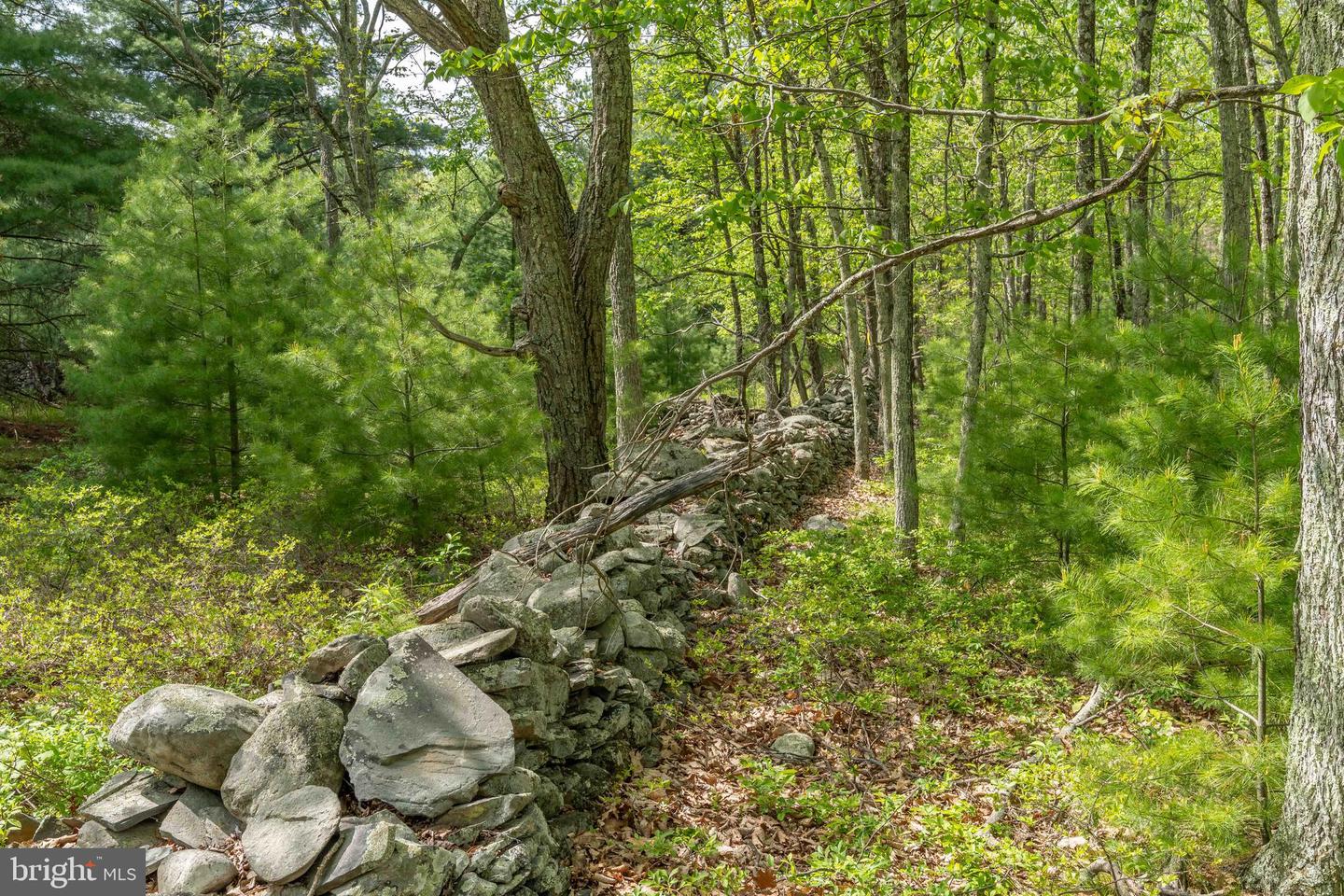 00 Cummins Hill Rd Property Photo 48