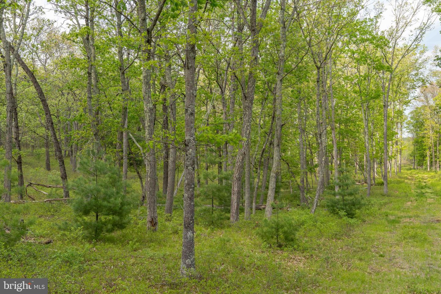 00 Cummins Hill Rd Property Photo 50
