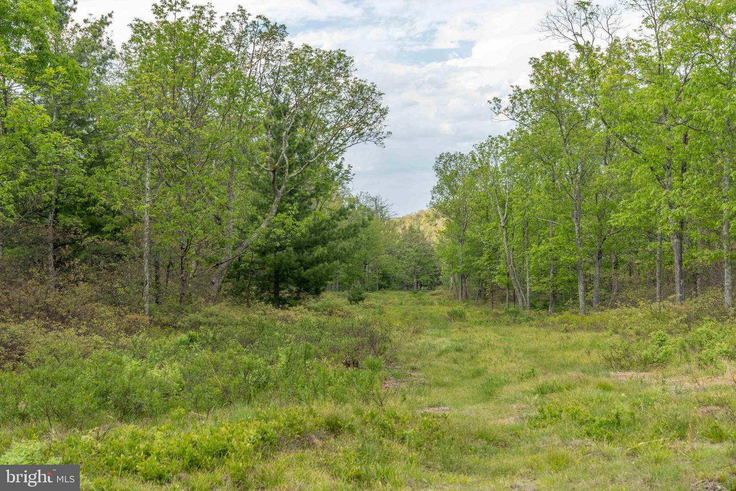 00 Cummins Hill Rd Property Photo 51