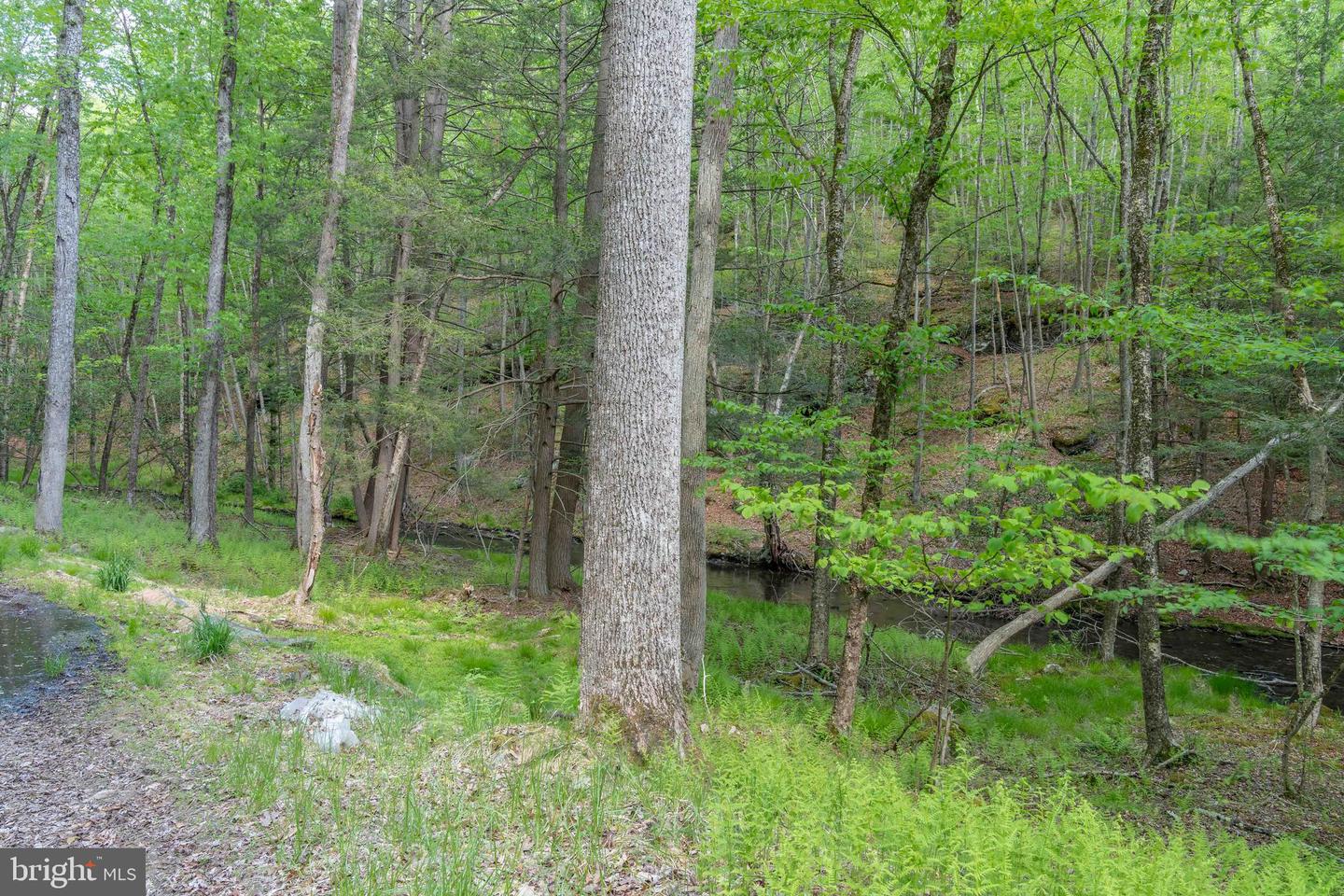 00 Cummins Hill Rd Property Photo 54