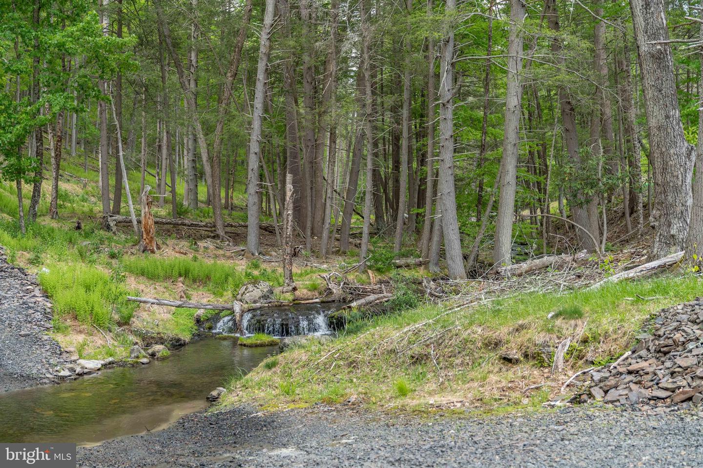 00 Cummins Hill Rd Property Photo 62
