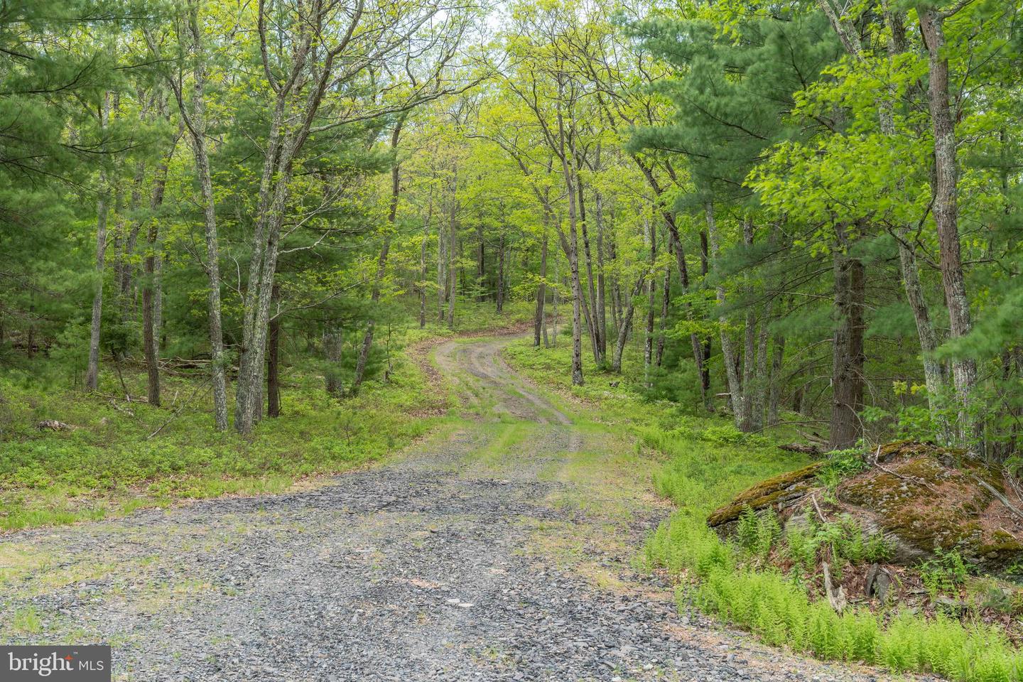 00 Cummins Hill Rd Property Photo 68