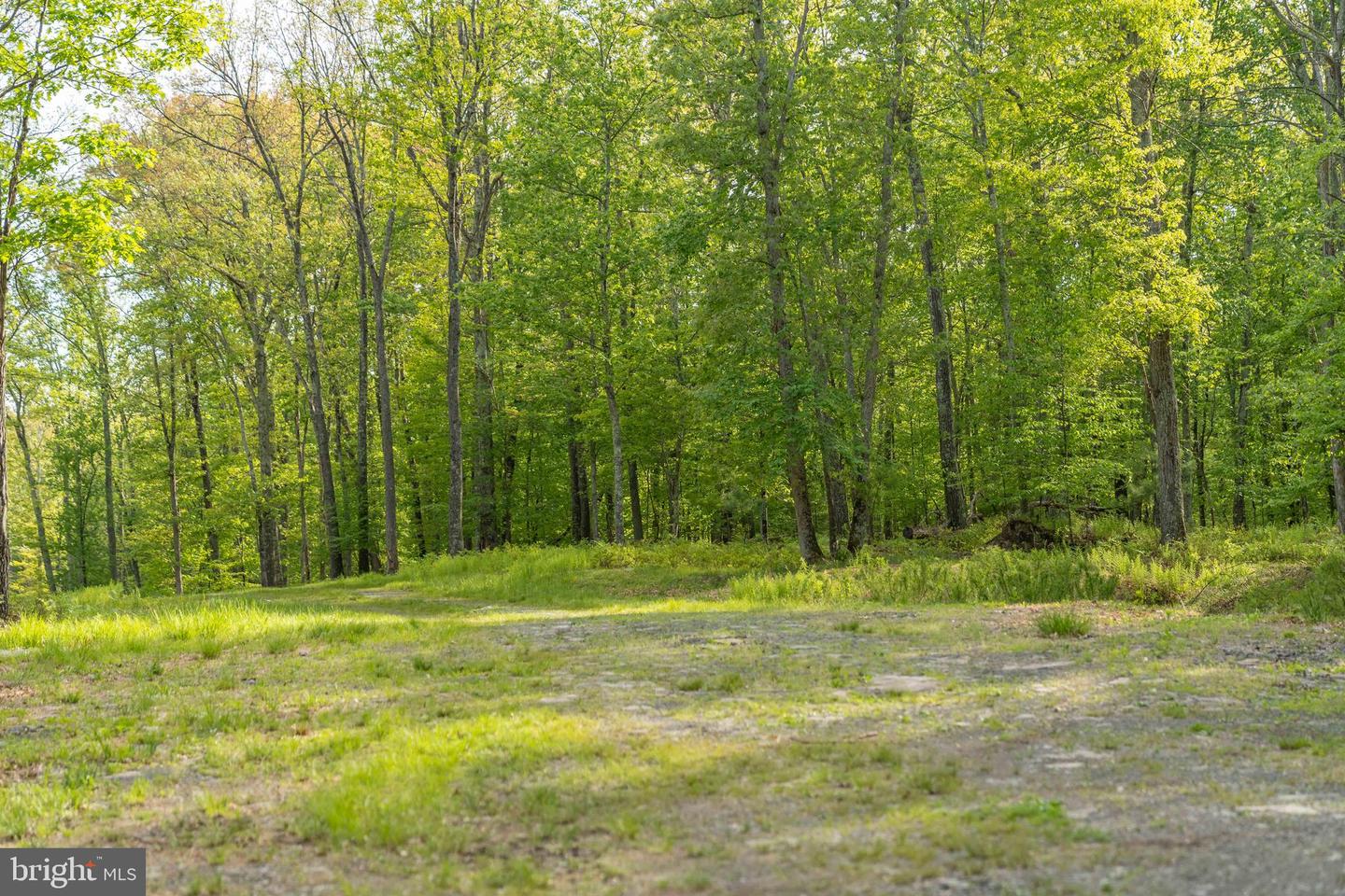 00 Cummins Hill Rd Property Photo 80