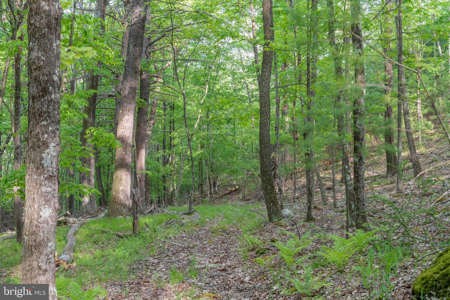 00 Cummins Hill Rd Property Photo 82