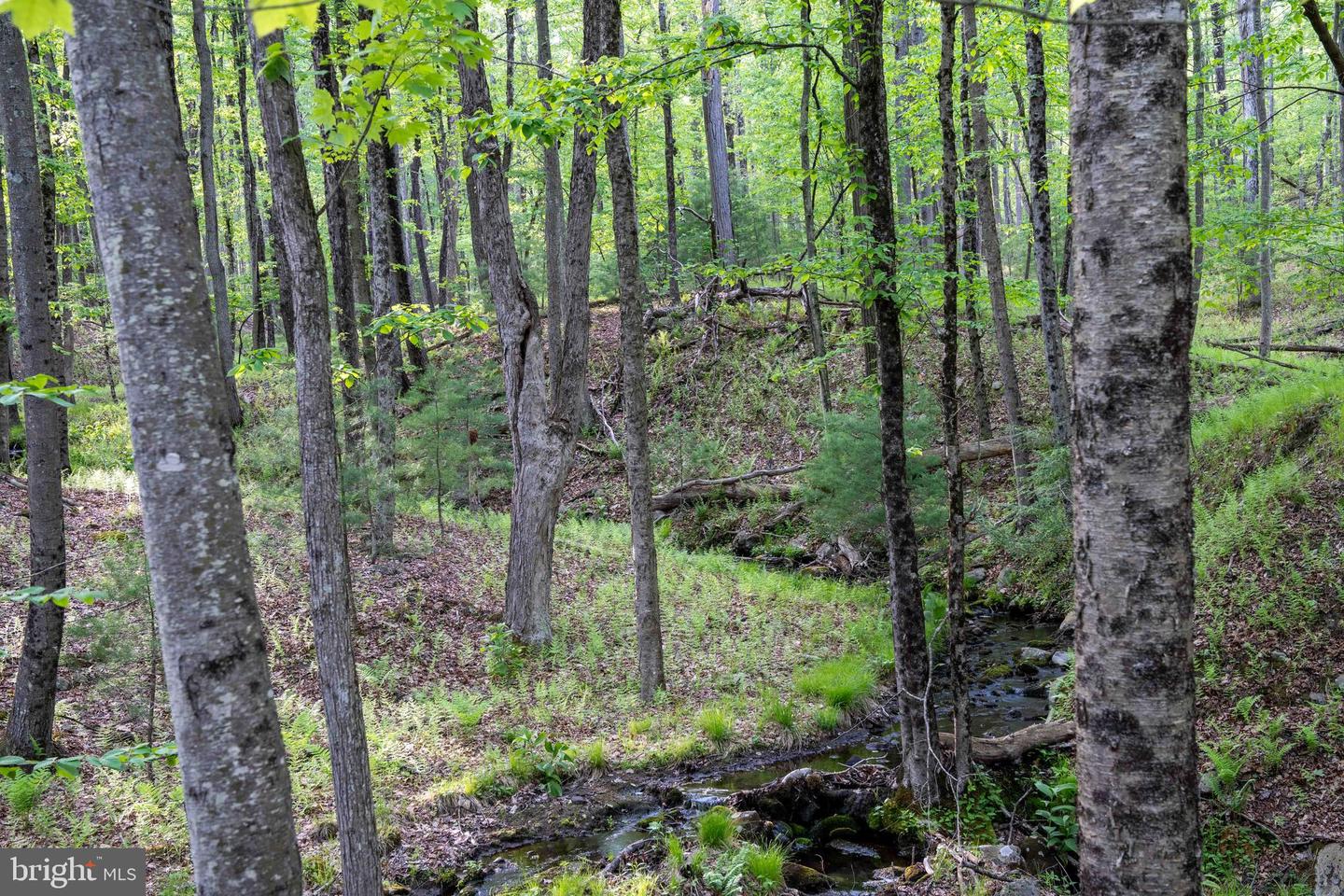 00 Cummins Hill Rd Property Photo 85