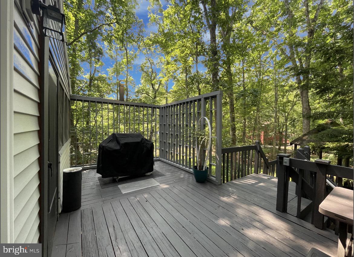 275 Canterbury Property Photo 92