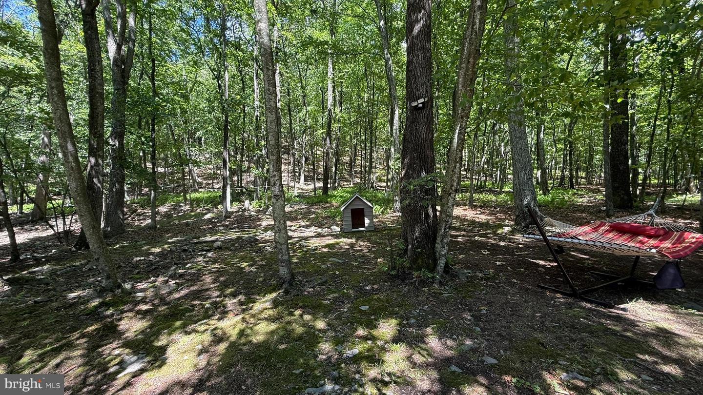 4271 Winchester Way Property Photo 6