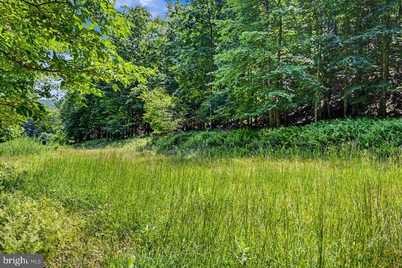 614 Masthope Plank Rd Property Photo 113
