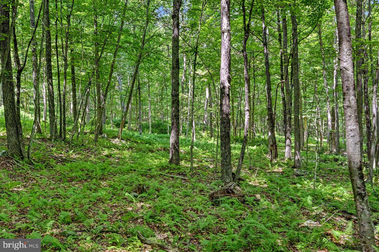 614 Masthope Plank Rd Property Photo 114