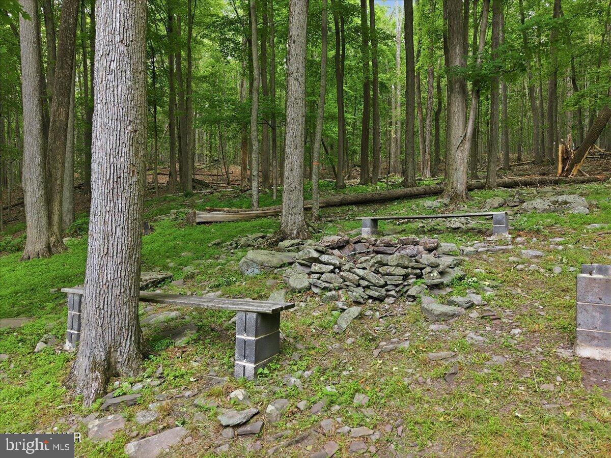 PAPI2001202 Property Photo 71