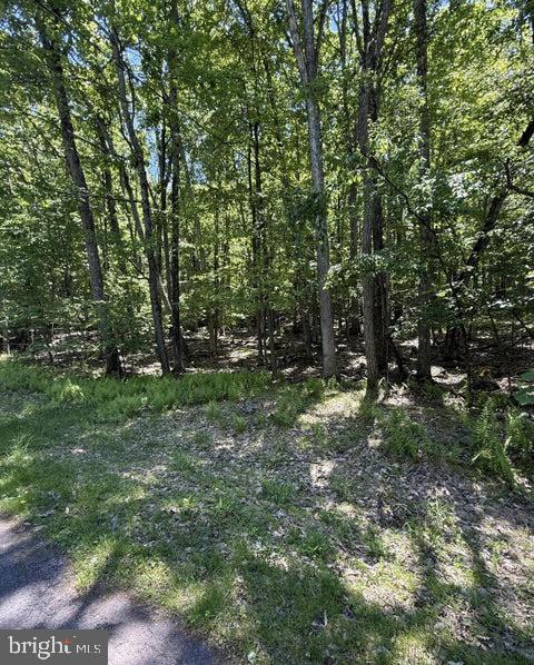 Paper Birch N Property Photo 2