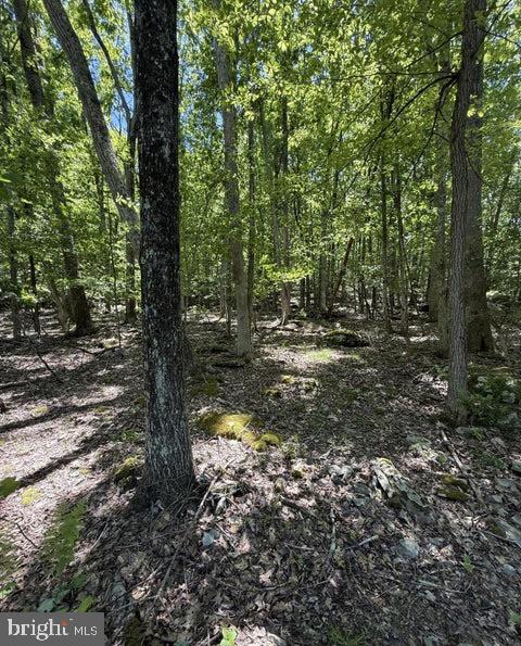 Paper Birch N Property Photo 3