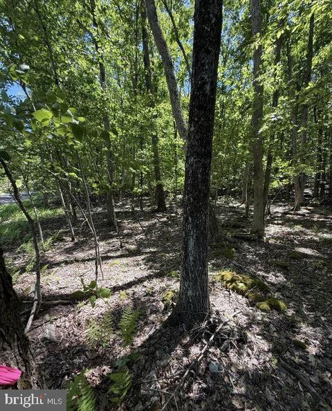 Paper Birch N Property Photo 4