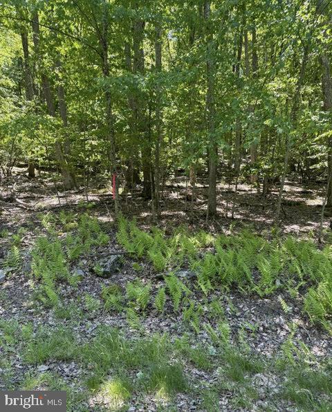 Paper Birch N Property Photo 5