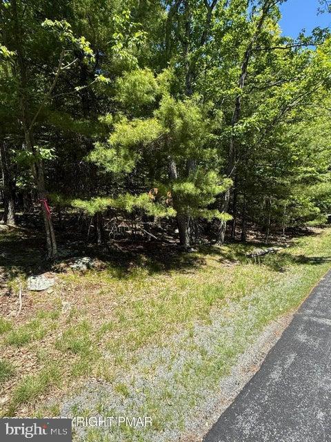 Song Mountain Drive Property Photo 2