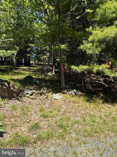 Song Mountain Drive Property Photo 3