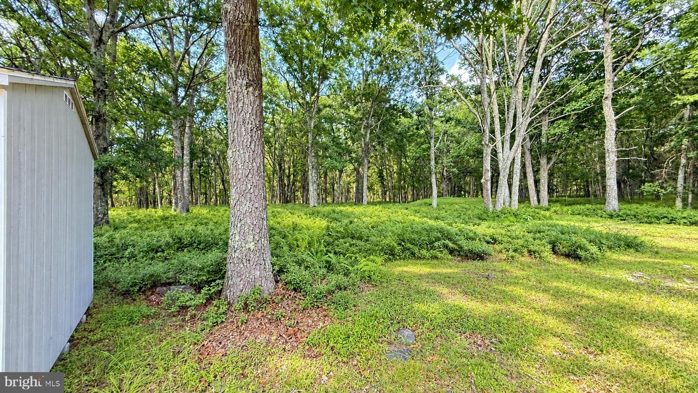 PAPI2001230 Property Photo 8