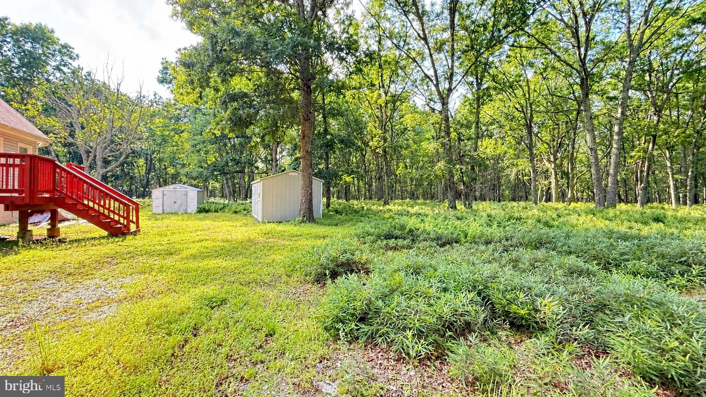 PAPI2001230 Property Photo 11