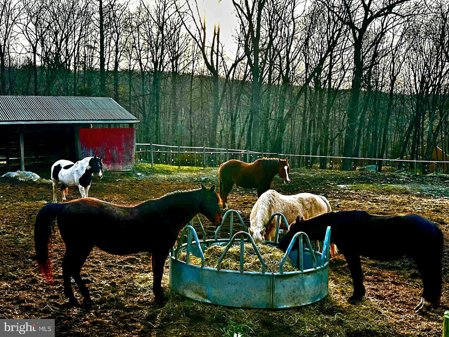PAPI2001230 Property Photo 41
