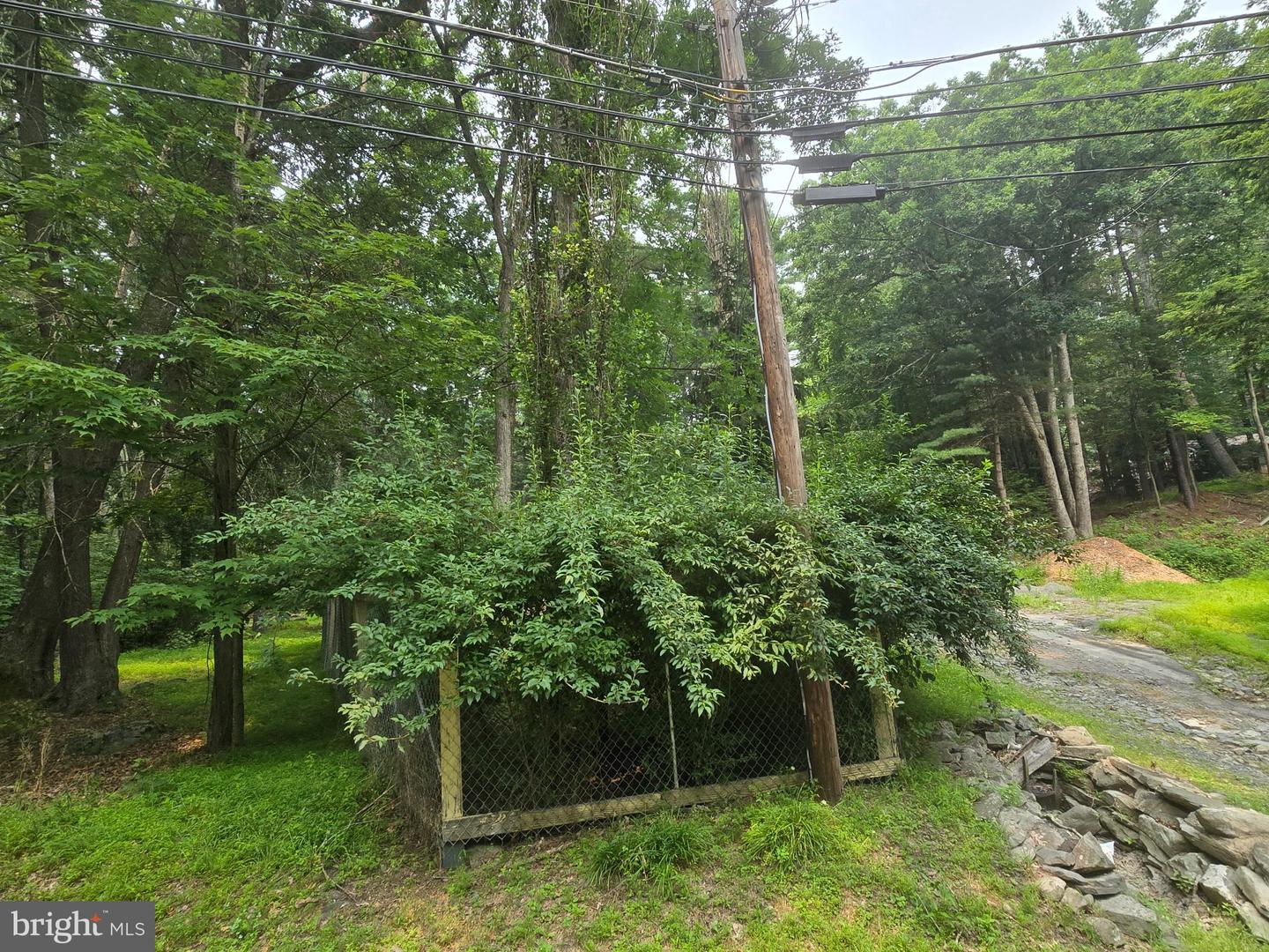 100 Grace Rd Property Photo 19