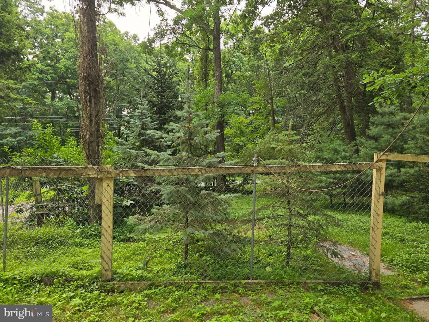 100 Grace Rd Property Photo 23